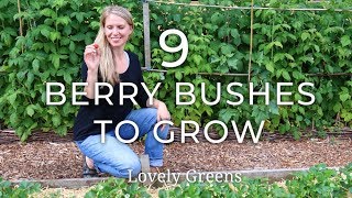 9 Types of Berry Bushes to grow in your Garden [upl. by Earehs]