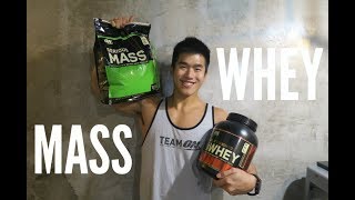 WHEY PROTEIN or MASS GAINER Tips for Beginner [upl. by Docilla]