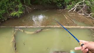 Brookville Lake Crappie Fishing [upl. by Bellina]