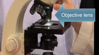 Part 1 Introduction to Microscopy [upl. by Sivra812]