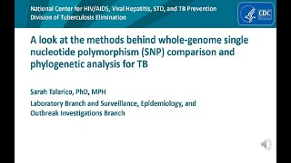 SNP Comparison and phylogenetic analysis for TB [upl. by Rachelle]