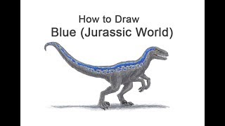 How to Draw Blue Velociraptor from Jurassic World [upl. by Retloc]