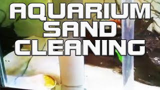 Quick Aquarium Sand Cleaning How ToDIY [upl. by Ninnetta]