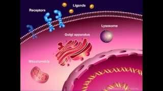 Introduction to Cancer Biology Part 1 Abnormal Signal Transduction [upl. by Millan]