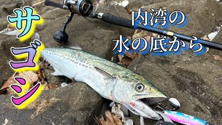 【ライトショアジギング】【サゴシ】【日本海】内湾の水の底から [upl. by Aicac618]