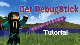 Minecraft DebugStick Tutorial [upl. by Cohbath779]