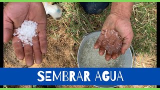 Pasos para sembrar AguA hidrogel en frutales [upl. by Nairrod362]