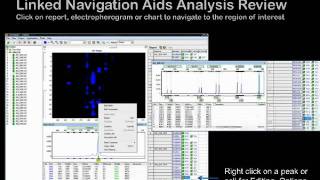 GeneMarker® Genotyping Software  Introductory Webinar [upl. by Christis916]