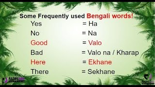 Learn Some Frequently Used Bengali Words in English Part 1 [upl. by Adnwahsal]