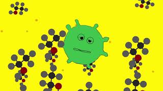 Malolactic Fermentation [upl. by Vere]