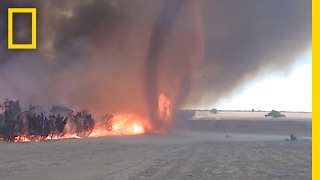 WATCH Fire Tornado Captured in Rare Video  National Geographic [upl. by Aesoh375]