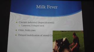 Mastitis Milk Fever and Ketosis in Dairy Cattle [upl. by Clareta]