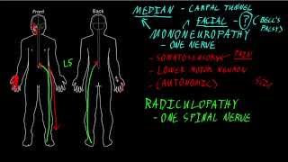 Myelopathy versus Radiculopathy [upl. by Ellen628]