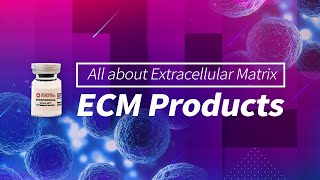 All about Extracellular Matrix Products [upl. by Eneryt]