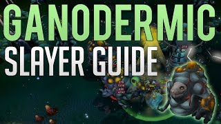 Consistent GP  Ganodermic Beast slayer guide  Runescape 3 [upl. by Sonnie754]