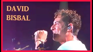 David Bisbal Lloraré Las Penas  Barcelona 2024 [upl. by Murdoch]