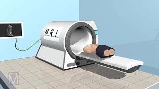 SeeThru Science How MRI Machines Work [upl. by Rosalia]