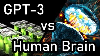 GPT3 vs Human Brain [upl. by Balkin]