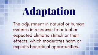 What Is The Definition of Adaptation [upl. by Aicenaj]