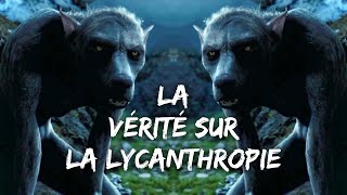 Les LoupsGarous dans Harry Potter  Étranges Créatures 13 [upl. by Glanti813]