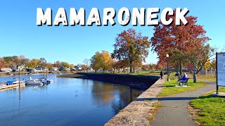 Walking Mamaroneck NY in November 2022 [upl. by Anitac]