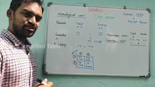 Monohybrid cross  Genetics  Quick notes  Senthilnathan  Tamil [upl. by Latihs]