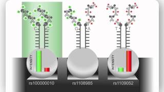 Illumina Infinium Assay An Overview [upl. by Ollopa606]