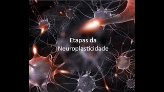 Etapas da Neuroplasticidade [upl. by Ysdnyl]