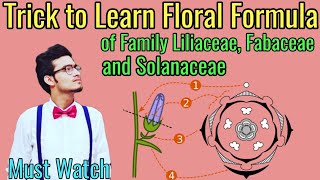 Trick to Write Floral Formulas of Family Fabaceae Solanaceae amp Liliaceae  Morphology via NCERT [upl. by Toshiko]