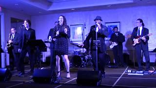 Best Wedding Band Heartbeat  LIVE Performance [upl. by Sacul]