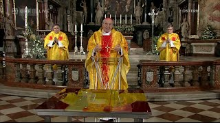 Gottesdienst der Osternacht aus dem Wiener Stephansdom 1142020 [upl. by Lanuk265]