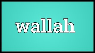 Wallah Meaning [upl. by Ellita]