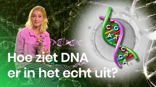 Wat is DNA  Het Klokhuis [upl. by Sorkin]