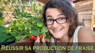 Comment réussir la culture de FRAISE au potager [upl. by Lonnard]