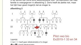 vwo biologie examen 20151 uitleg 33 en 34 stamboom [upl. by Rowland991]