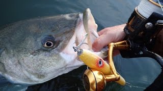 Penn Slammer 3 Fishing Reel Review [upl. by Nawk]