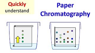 Paper Chromatography [upl. by Halivah]