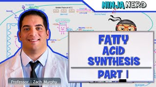 Metabolism  Fatty Acid Synthesis Part 1 [upl. by Atoel196]