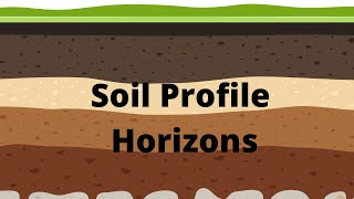 Soil Profile and Soil Horizons [upl. by Sidonnie426]