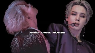 JIMIN FMV DARK HORSE [upl. by Yajiv266]