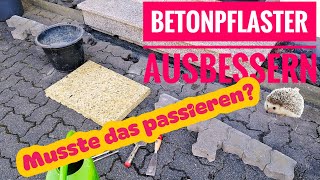 Betonpflaster ausbessern leicht gemacht [upl. by Queri]