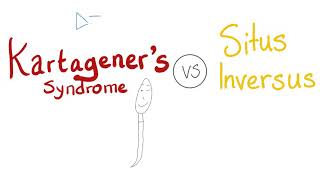 Kartageners Syndrome VS Situs Inversus Totalis [upl. by Narol]