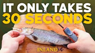 Our Favorite Way to Fillet a Trout 30 Seconds  Kyle Veit  Inland Outdoors trout fillet [upl. by Lytsirhc]