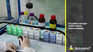 FFPE Tissue Slide Preparation and Processing [upl. by Ahsrop]