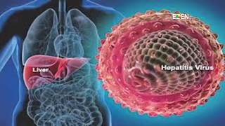 Diferenças entre hepatite B e C [upl. by Losiram]