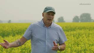 Nutrient Management for Canola in Canada [upl. by Erleena]