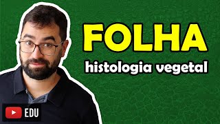 Histologia da Folha  Aula 11  Módulo V Botânica  Prof Guilherme [upl. by Bonnell303]