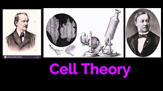 CELL THEORY CELL BIOLOGY  SCHWANN Robert HookeAnton van Leeuwenhoek [upl. by Aicyla]