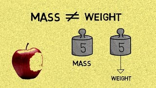 The Difference Between Mass amp Weight [upl. by Fallon]