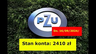 PZU i przegląd inwestycji [upl. by Idok]